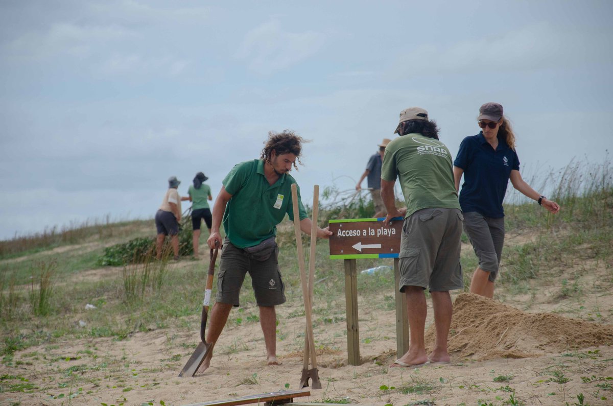 MAmbienteuy's tweet photo. 🌱El equipo del área protegida Laguna Garzón del @MAmbienteuy junto a actores locales, realizaron dos jornadas de restauración con el fin de controlar las especies exóticas invasoras y mejorar la erosión del cordón dunar. https://t.co/tk5rZtfBx8