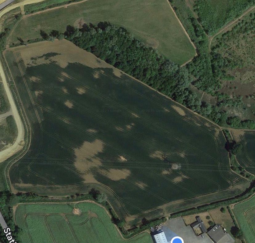 Rob Burtonshaw tweet media