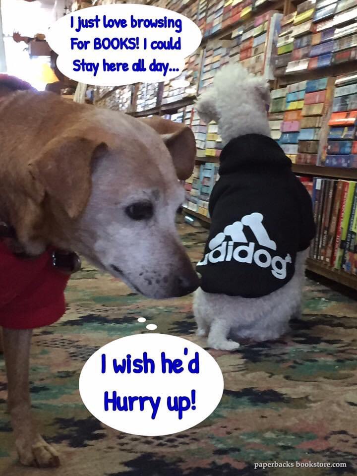 Paperbacks_Plus's tweet photo. When your best friend gets bored, and you're still scouring through the shelves.
🐕🐩
#bored #perusing #stacks #bookishproblems #rescuedog #rescuedog #minpin #poodle #bestfriends #bookstoredog #booksanddogs #readinganimals #bookstore #lovemydog #bestfriends #bookworm #bibliophile https://t.co/1lAgpqivy3
