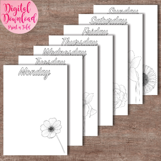 PrintnFold's tweet image. April showers

etsy.me/3M5OVfH 

#floral #flowers #dailypages #diary #journal #printable #printerfriendly #printathome #daffodils #flowerlover #flowerfan