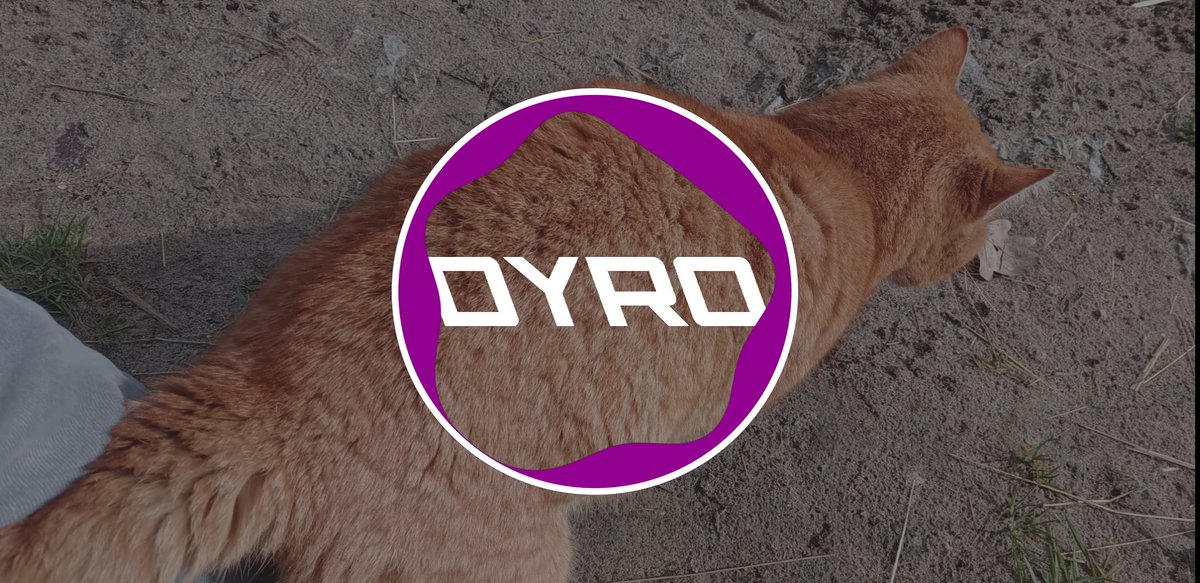 NCR Dyro tweet media