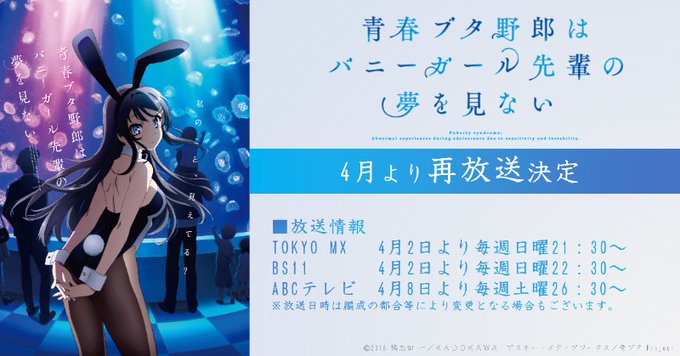 春アニメ 新規作品も良いけどまだ見たことない人は再放送の「青春ブタ野郎はバニーガール先輩の夢を見ない」を絶対に見てほしい