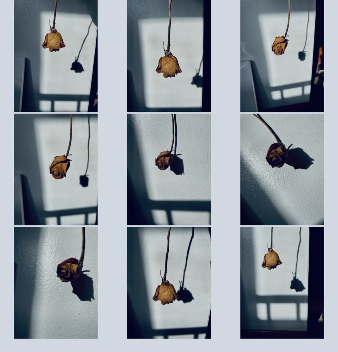 ✨MAY✨ tweet media