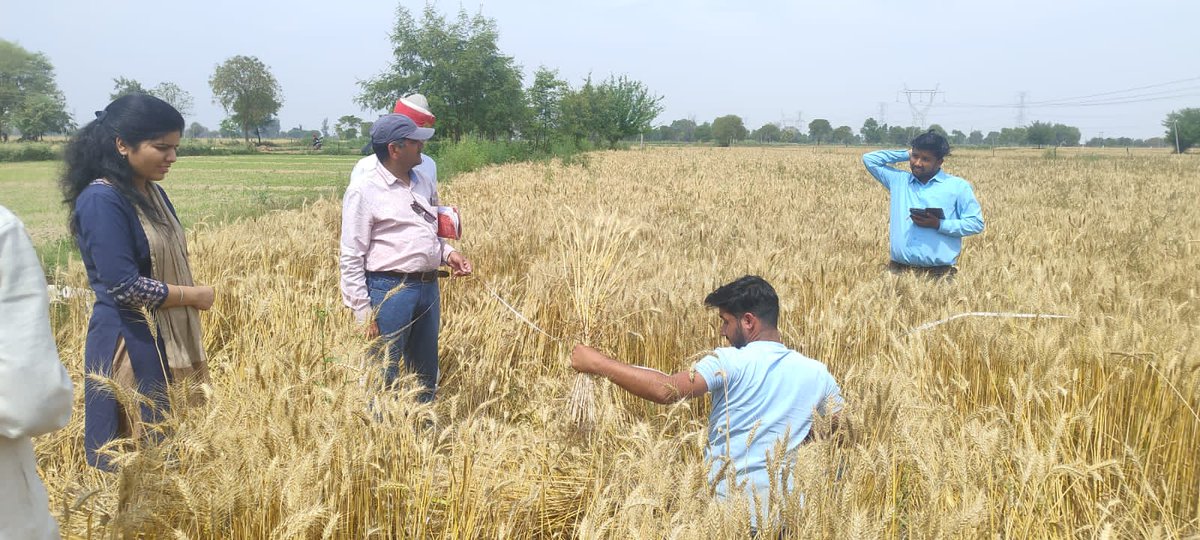 डीएम अलीगढ़  के निर्देश पर एसडीएम इगलास  ने नगला जगदेव गोंडा में अवैध खनन करते हुए एक जेसीबी पकड़ी जिसमे कोई भी दस्तावेज ना दिखाने पर थाने के सुपुर्द कर दी गई.संबंधित के खिलाफ विधिक कार्रवाई की जा रही है।साथ ही पीपली गांव में गेहूं की फसल के क्रॉप कटिंग को देखा@dm_aligarh.