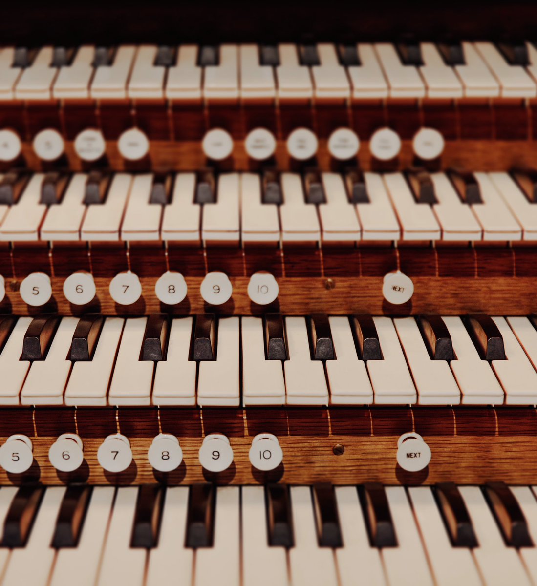 It's Piano Day! We might not be a piano, but we do have keys, and lots of them! 🎹