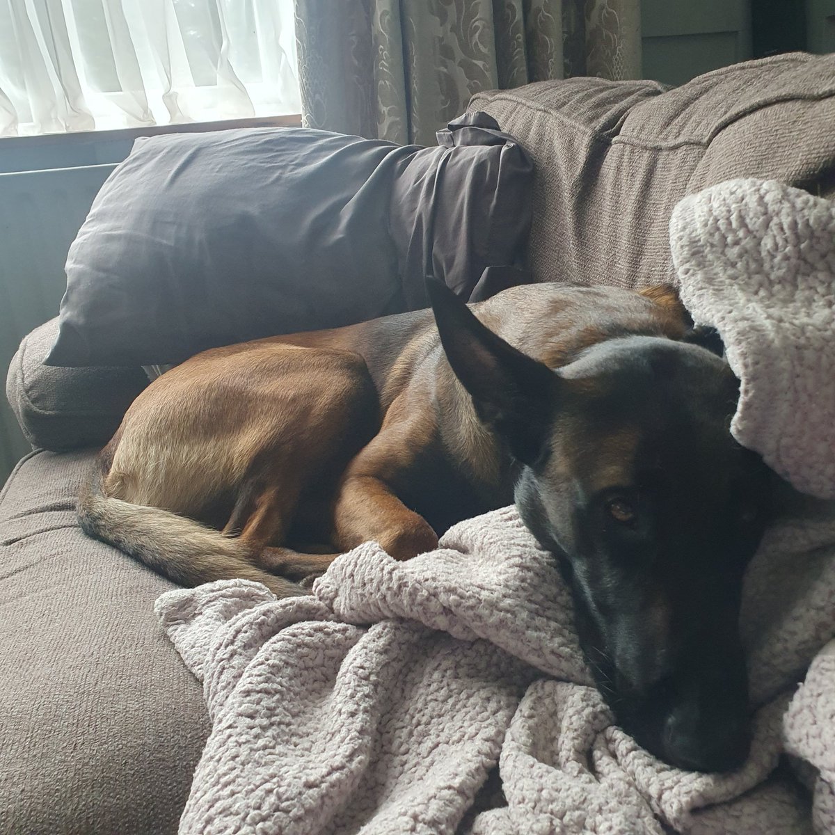 RadTheMaligator's tweet image. #DevilInDisguise 👹😳