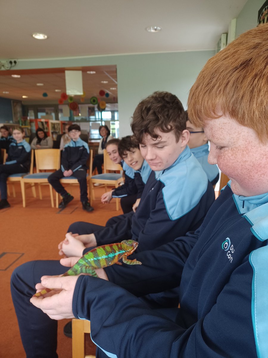 JCSP Library Dungarvan College (@dungarvancollib) on Twitter photo A great morning of entertainment and learning from Dave's Jungle. <a href="/jcsplibraries/">JCSP Library Project</a>.ie A great morning of entertainment and learning from Dave's Jungle. <a href="/jcsplibraries/">JCSP Library Project</a>.ie