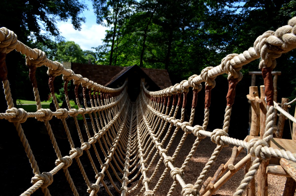 Flights of Fantasy tweet media