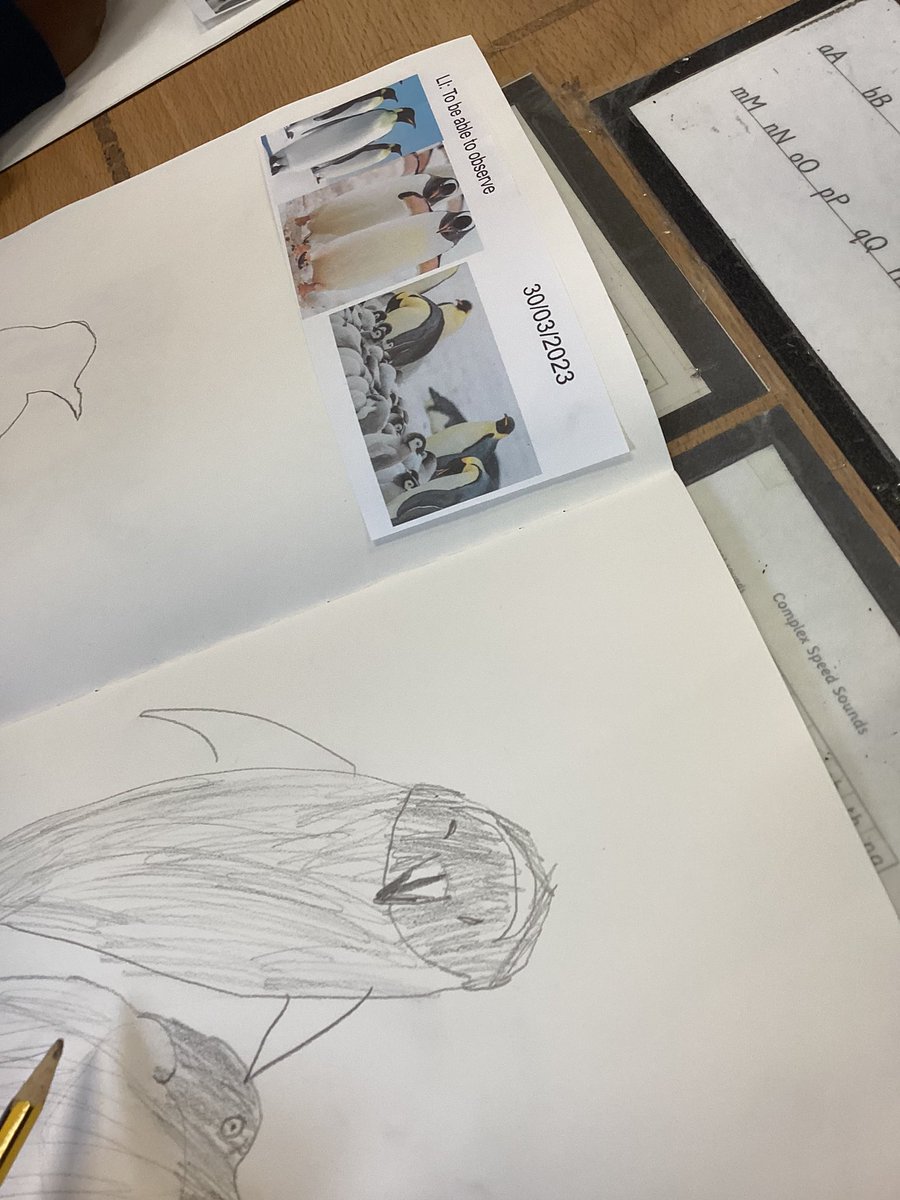 We looked at animals from Antarctica today and drew some penguins.