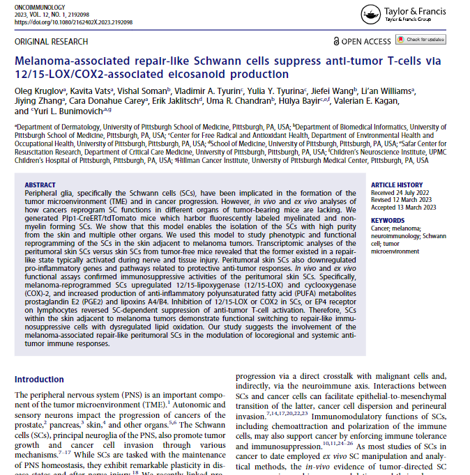 Congrats to the Bunimovich lab on their recent publication in Oncoimmunology! Check it out here: tandfonline.com/doi/full/10.10…