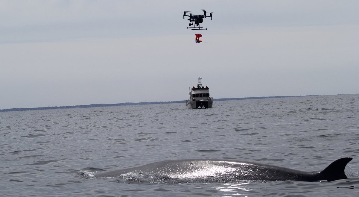 NOAA's tweet photo. The 2022 NOAA Science Report is in!
See details about NOAA’s advancements in wind, weather, & water forecasts, the discovery of a 207-year-old shipwreck, & find out how NOAA uses science to advance the lives of Americans.
https://t.co/vW75nYftSP
#NOAAScienceReport https://t.co/19c6vHCAty