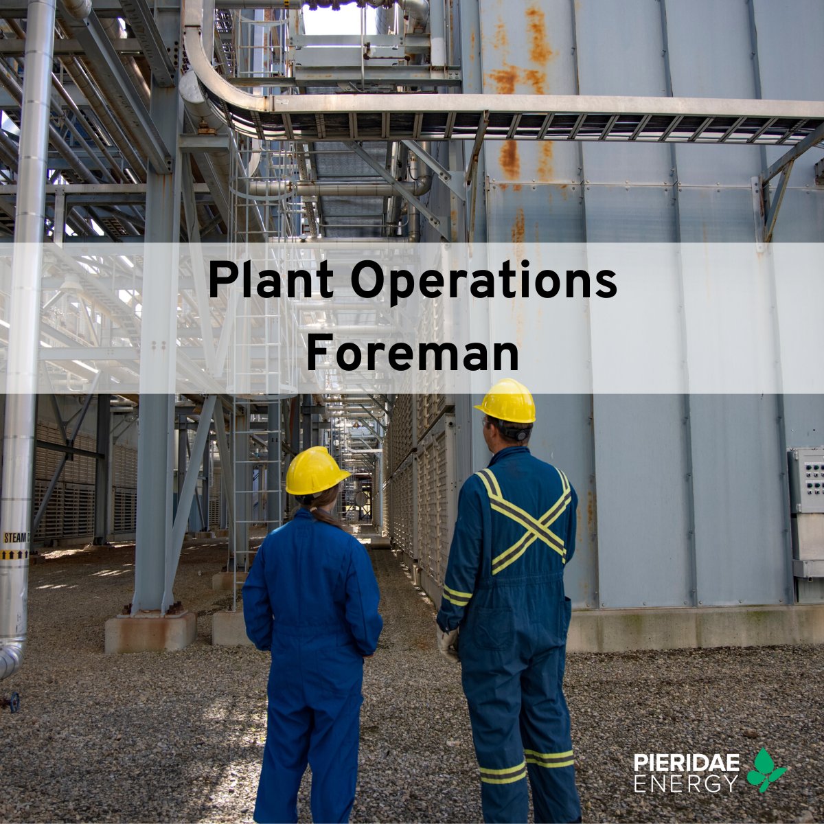 CavvyEnergy's tweet image. The Caroline Gas Complex is currently looking for a motivated and safety-orientated individual to fill the role of Plant Operations Foreman at our high-pressure sour gas plant.  

See the full job posting here:  pieridaeenergy.com/careers/job-po…

#Albertajobs #JobOpportunity #NaturalGas