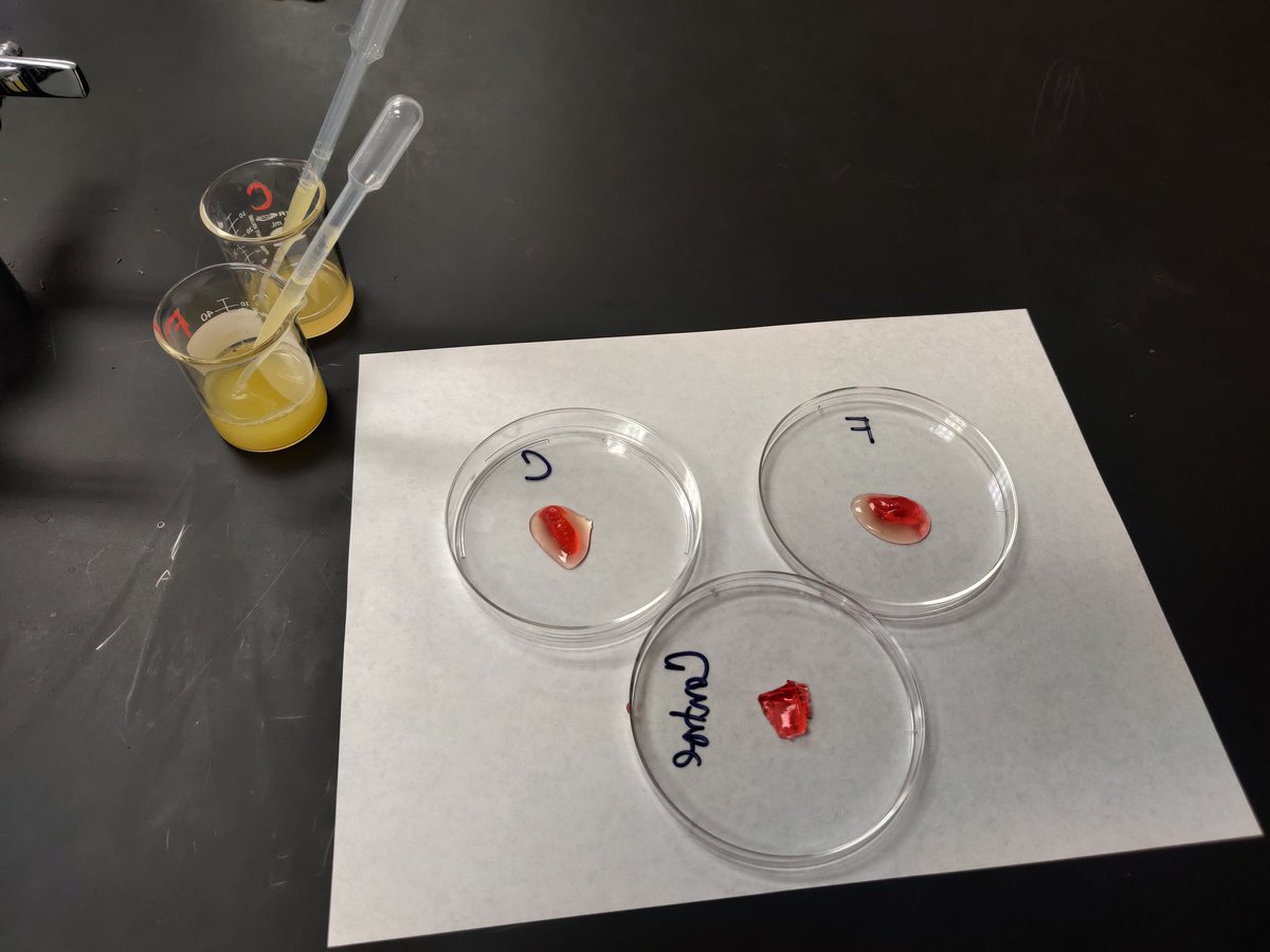 RPHS Science tweet media