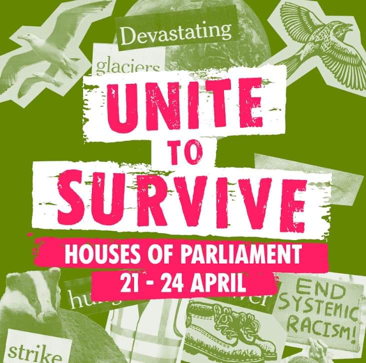 Extinction Rebellion Havering 🌳🚴‍♀️🌍 tweet media