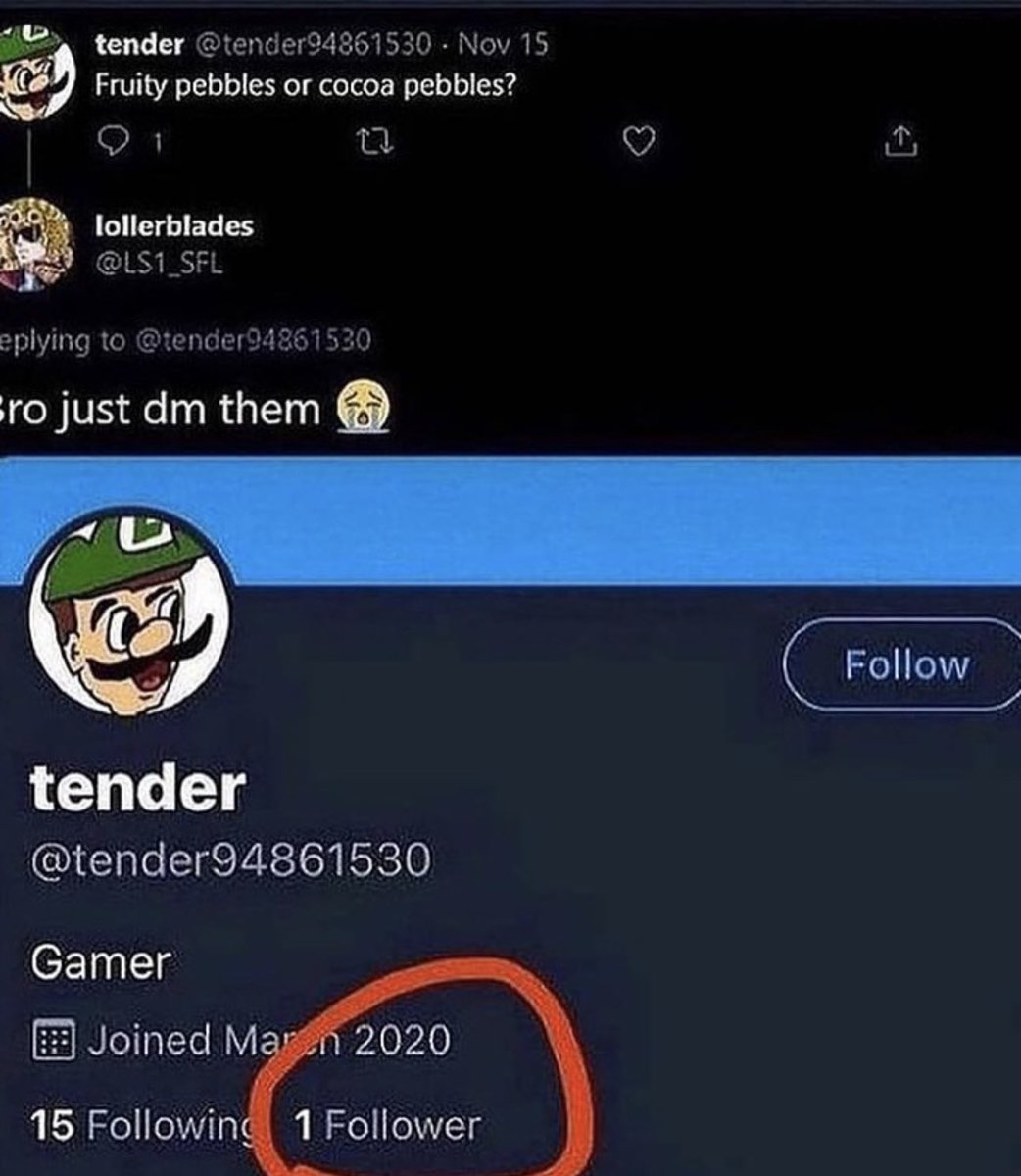 Braindead Bird App tweet media