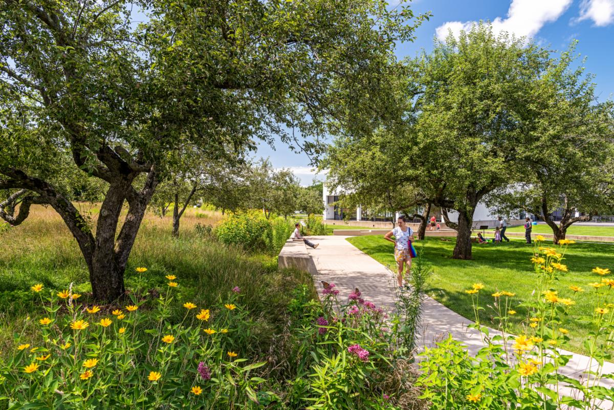 Last call for the 2023 BSLA Design Awards! Landscape architecture projects in Mass or Maine -- or projects by MA/ME designers sited anywhere. Deadline 3/31. (Photo: 2022 BSLA Design Award, "Bobbie's Meadow," Mantle &amp; KMDG ) Details &amp; link to Submit: https
conta.cc/42J1VxD