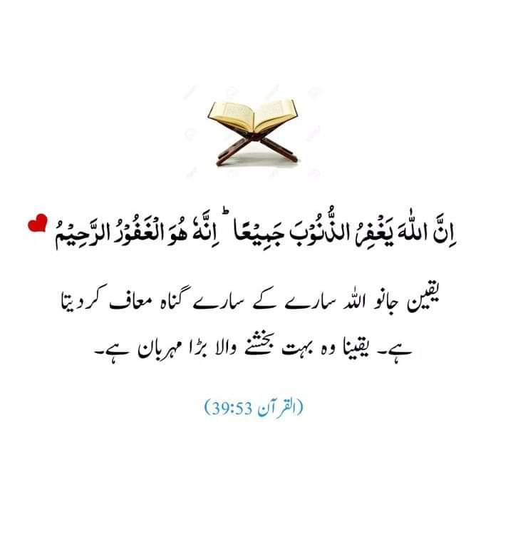 Beshak ♥️