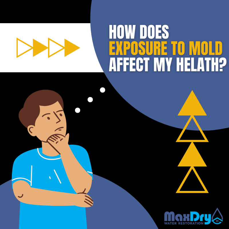 MaxDry_atl's tweet photo. Mold has the potential to cause serious health problems. Below is a short article published by the Environmental Protection Agency that talks about mold and how it can affect your health.

Article link here: https://t.co/b1VNohRcQr

#waterdamage #mold #maxdry #waterestoration https://t.co/RBvWp0JTN3