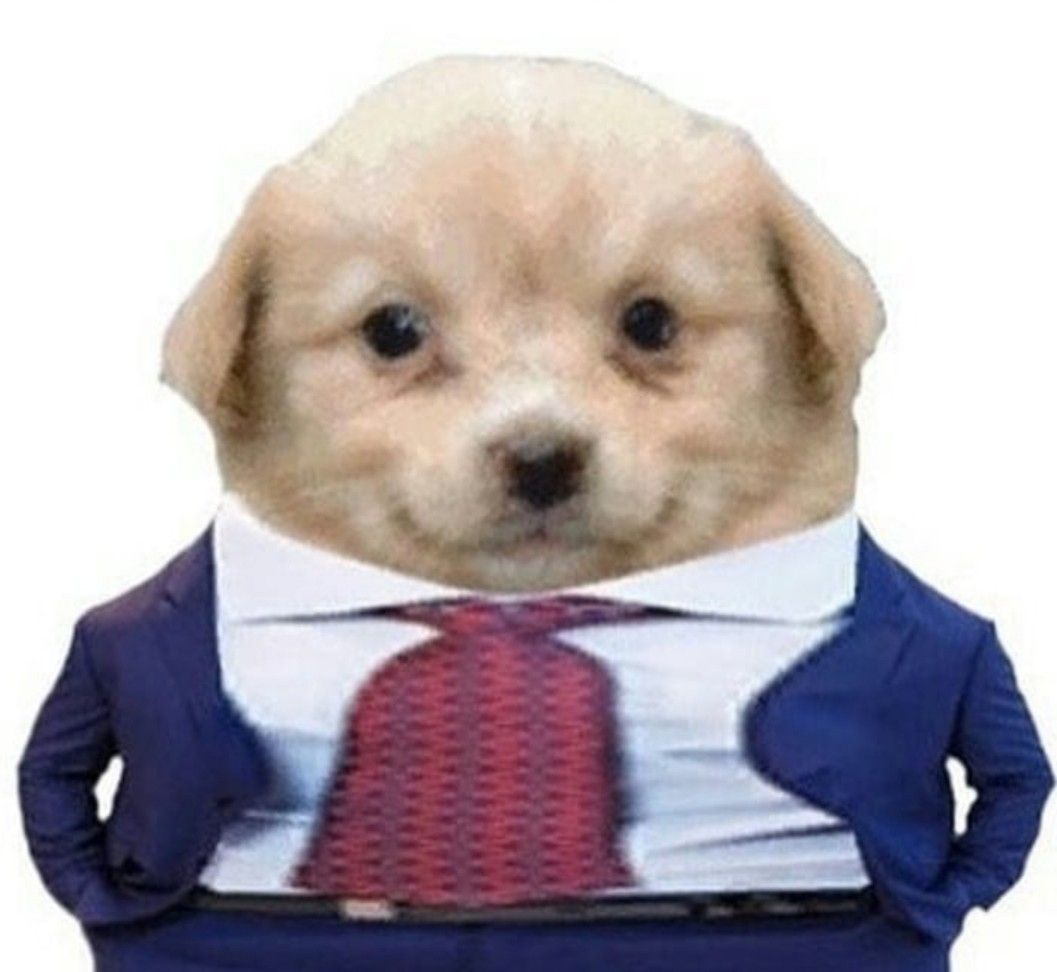 AraceliBaca3's tweet photo. @taelvsbeom un perro empresario 😳 https://t.co/vbWBI4hulL