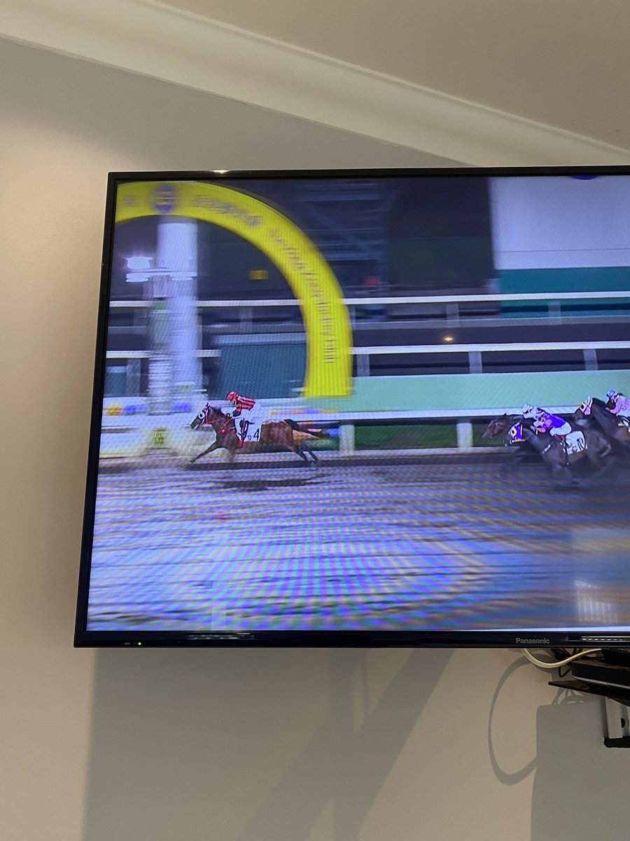 Brickfield Equine tweet media