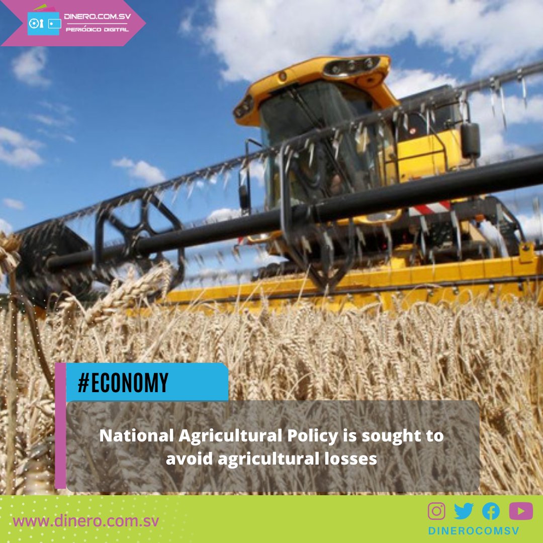 dinerocomsv's tweet photo. #Economy National Agricultural Policy is sought to avoid agricultural losses #CAMPO
Read it here: https://t.co/CgtXObLlCD
#NationalAgriculturalPolicy #agriculturallosses #CAMPO #DryCorridor https://t.co/fFruYjyuCR