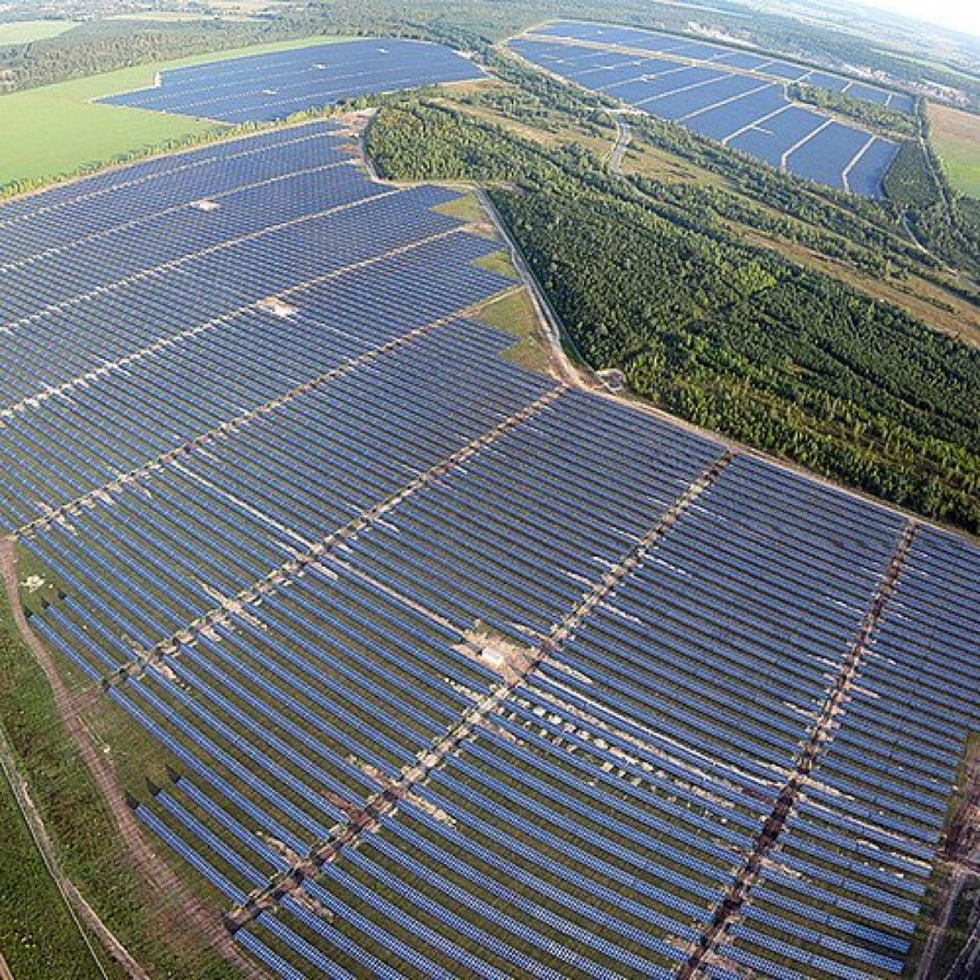 Da in das Waldstück könnte man doch noch zwanzig Megawindräder hinein betonieren. Damit die Vögel auch weg sind.