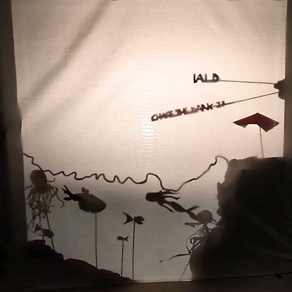 What a fun evening! Our theme for 2023, Earth, Wind, Fire &amp;  Water... all the elements to inspire us to get creative with light. #IALDChaseDark