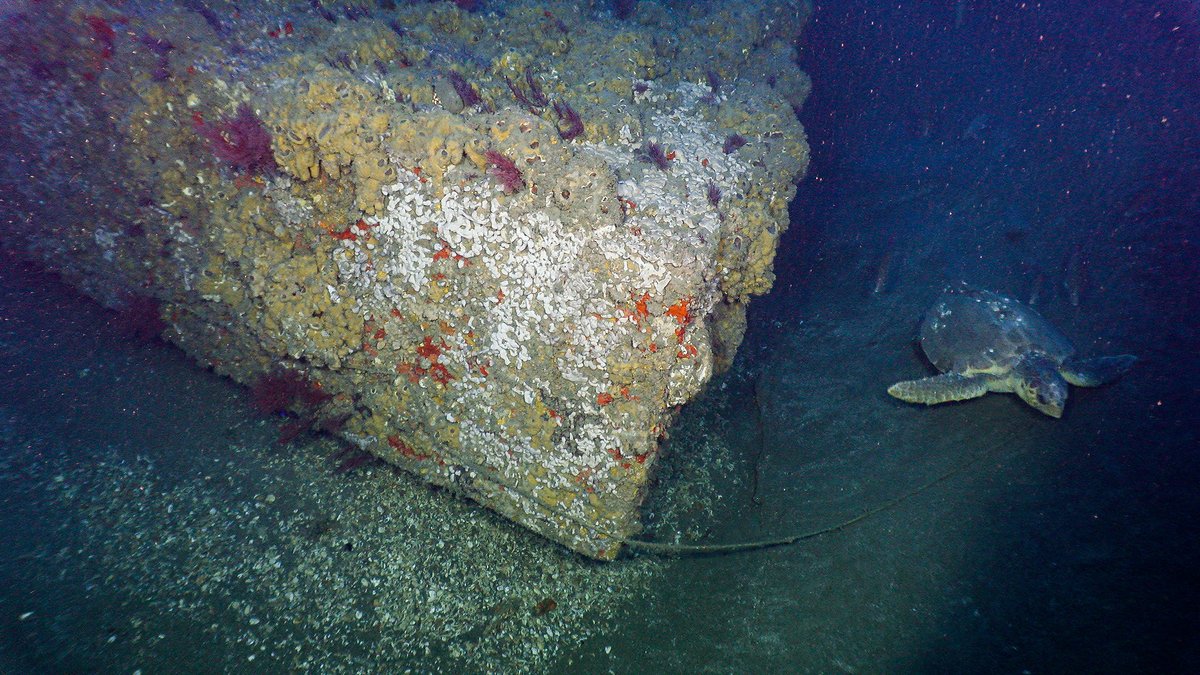 noaaocean's tweet photo. ICYMI: The NOAA Ship Nancy Foster hosted the 2022 Valor in the Atlantic Telepresence Expedition showcasing the excitement of ocean discovery and research in real-time: Read about these accomplishments and many more in the 2022 NOAA Science Report. #NOAAScienceReport https://t.co/1GXsRYZMES