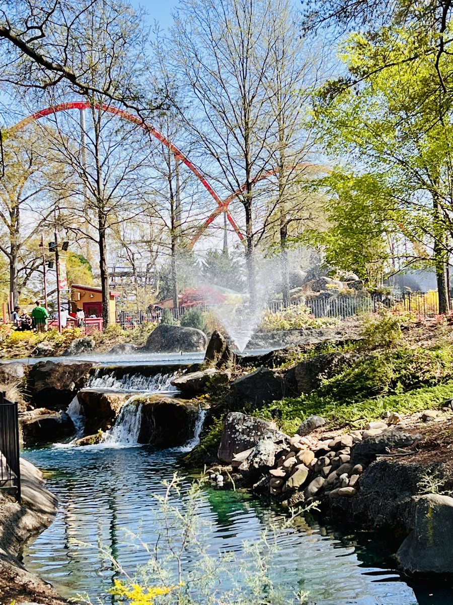 FanAttractions's tweet photo. Spring has sprung @carowinds 🌸🌷🌼🌿 #spring #carowinds #nc #sc #wherethecarolinascometogether #fantasticattractions 💫  #amazinglookslike #strikesquad #charlotte #amusementpark #cedarfair #themepark #themeparklife #themeparks #themeparkvloggers #themeparkphotos #carowinds50 https://t.co/thLNm7DcaZ