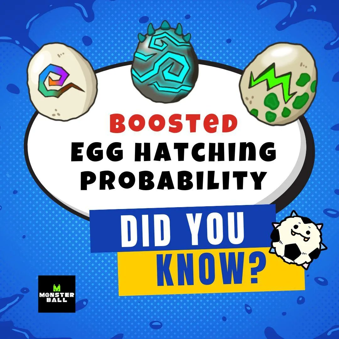 Monster Ball | Ready to Kick tweet media