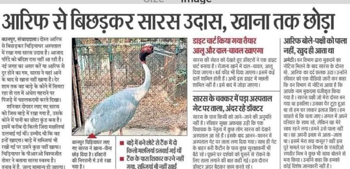 d04_danish's tweet photo. सत्ता में बैठे बे औलाद तानाशाहों को एक दोस्त के दर्द का एहसास नहीं हो सकता है।
#क्रूर_शासक https://t.co/rTw5LITse0