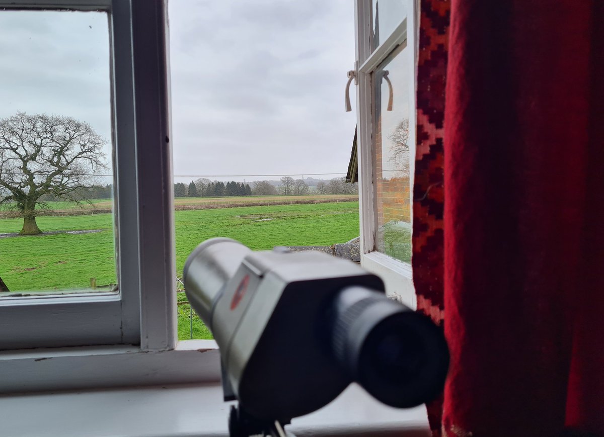 fbuner's tweet photo. #Lapwing are arguably one of the most charming #farmlandbirds. Sadly, they are in big trouble across Western Europe. I am incredibly privileged to overlook a 1-ha #lapwingplot directly from my bedroom window, from where I often hear their pee-wit call in the middle of the night. https://t.co/T7BAjJrzNC