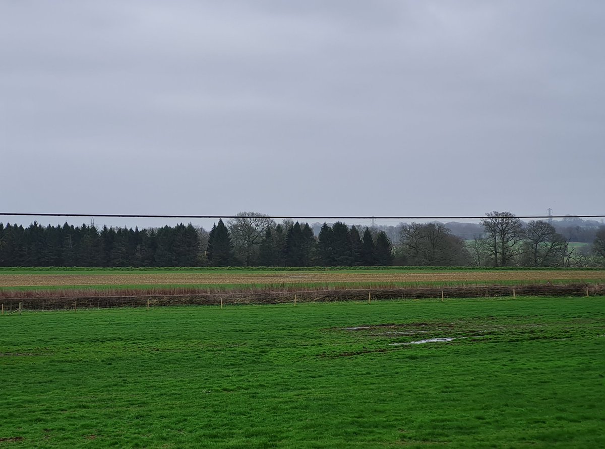 fbuner's tweet photo. #Lapwing are arguably one of the most charming #farmlandbirds. Sadly, they are in big trouble across Western Europe. I am incredibly privileged to overlook a 1-ha #lapwingplot directly from my bedroom window, from where I often hear their pee-wit call in the middle of the night. https://t.co/T7BAjJrzNC