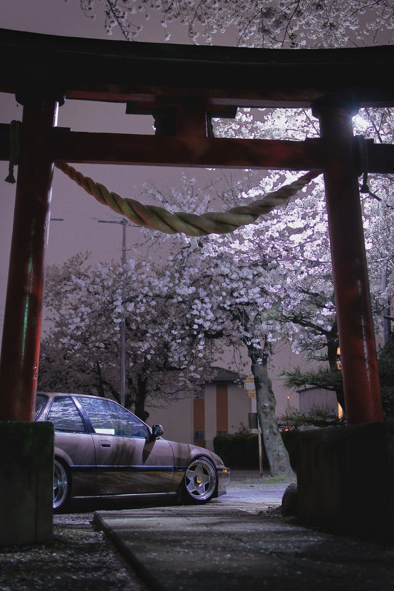 _ketsuban's tweet photo. 🌸×⛩×🚗 https://t.co/bgSqS4ZTeQ