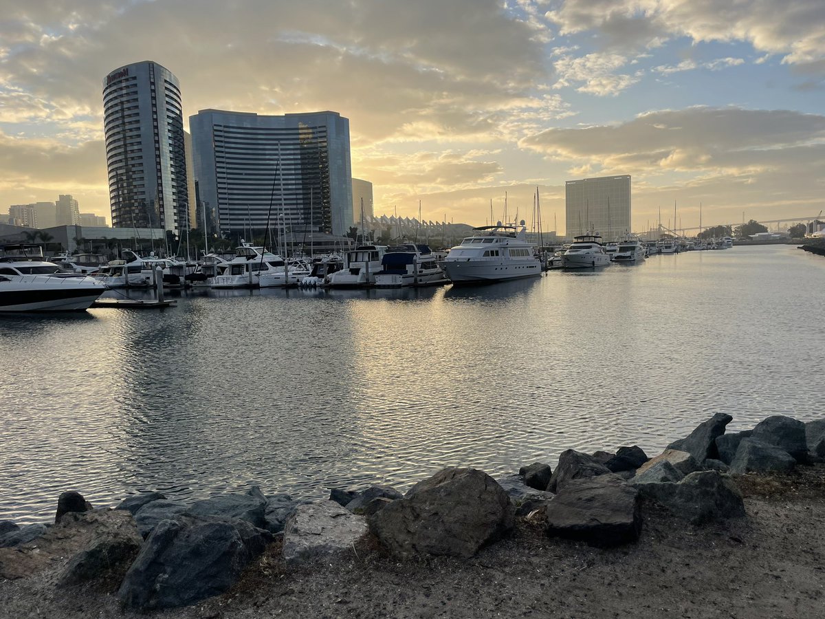 Daisy_Flower89's tweet photo. Morning views! #SanDiego #340BConf https://t.co/WKlFj88cB2