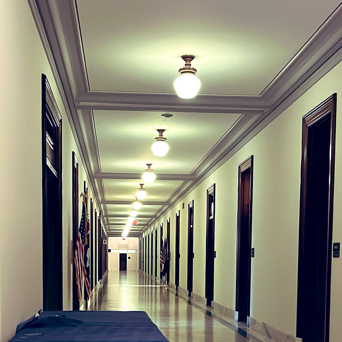 Today, #KidneyAdvocates are on Capitol Hill! @KidneyPatients & @ASNKidney are urging Congress to accelerate innovation through @Kidney_X and to support #Veterans with #KidneyDisease via increased funding to VA Kidney Health Program & DoD CDMRP!