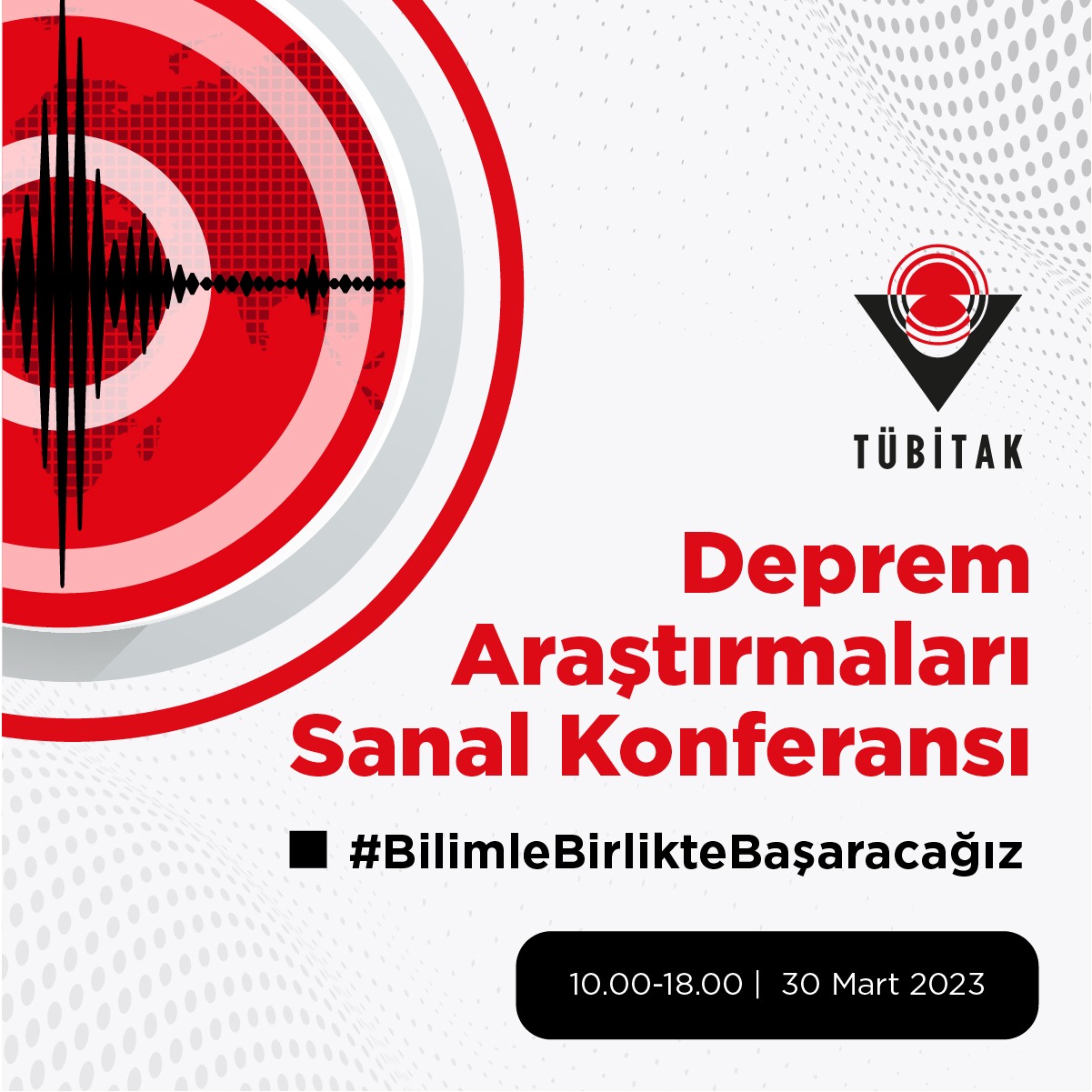 Resim