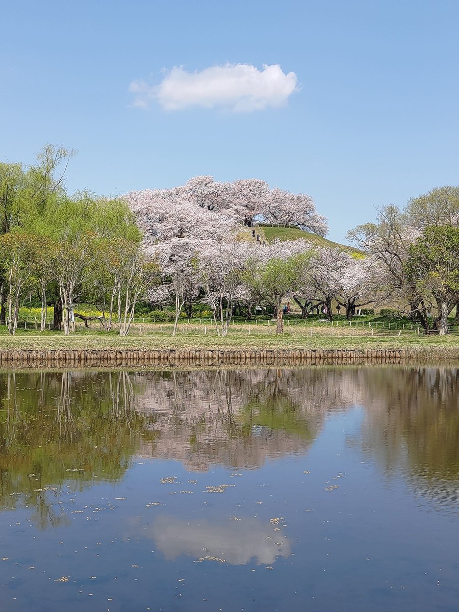 Peera_Foto tweet media