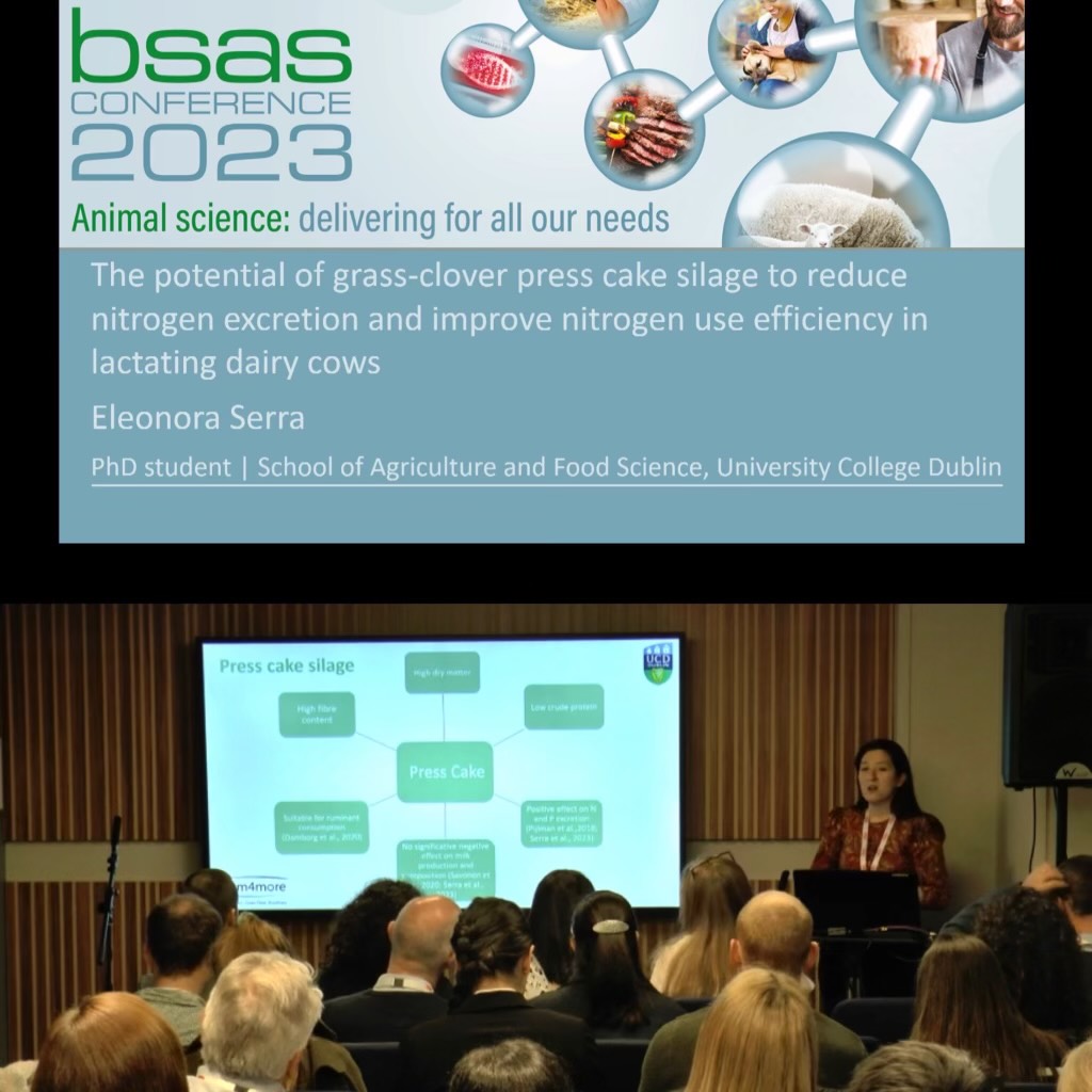 farm4more's tweet photo. 👏 Congratulations to @eleonoraserra92 who today presented at the British Society of Animal Science @BSAS_org  in Birmingham the #biorefinery press cake silage results @ucdagfood https://t.co/IrFeIqruVn