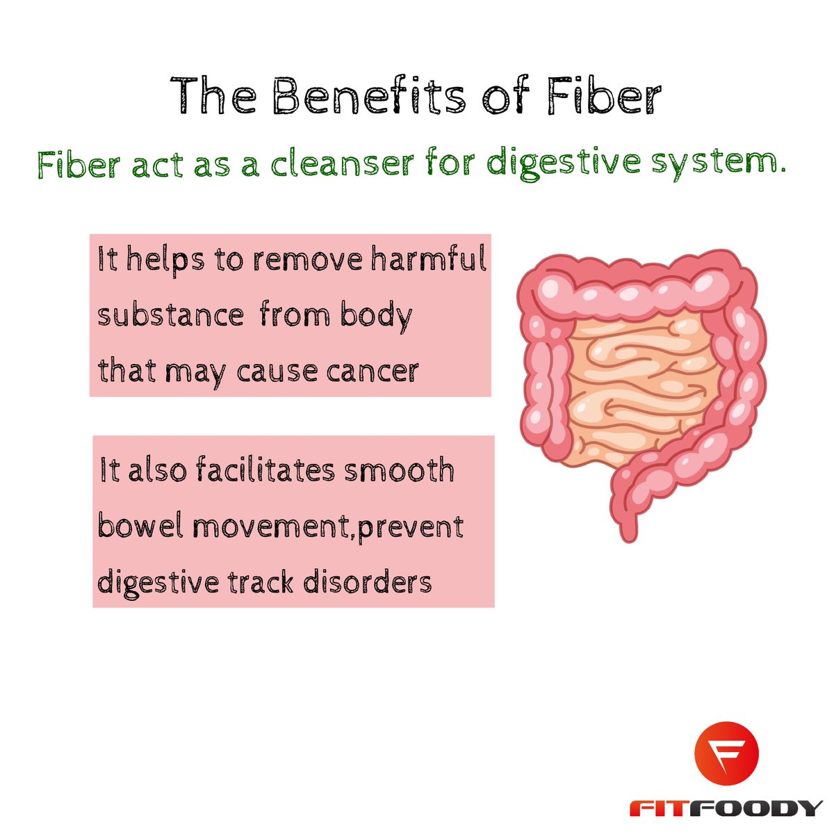 fitfoody_'s tweet photo. Hey there! 

Did you know that adding #fiber to your diet can do wonders for your well-being? Apart from aiding in digestion, it also lowers the risk of heart disease and type 2 diabetes.  👇 https://t.co/50WDZmt8qy