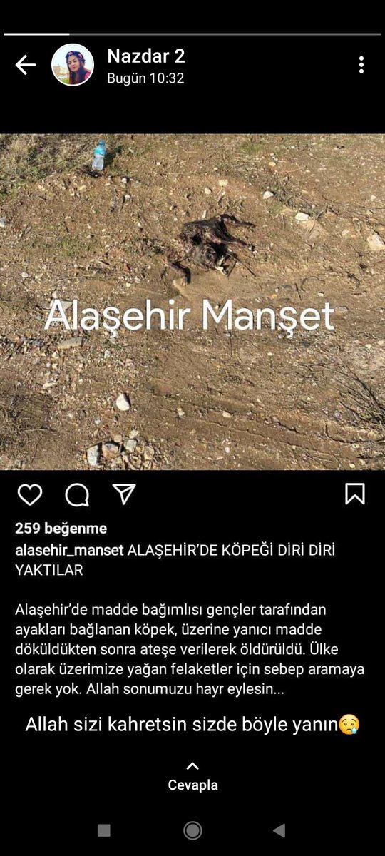 Dünyanın sonu gelsin artık