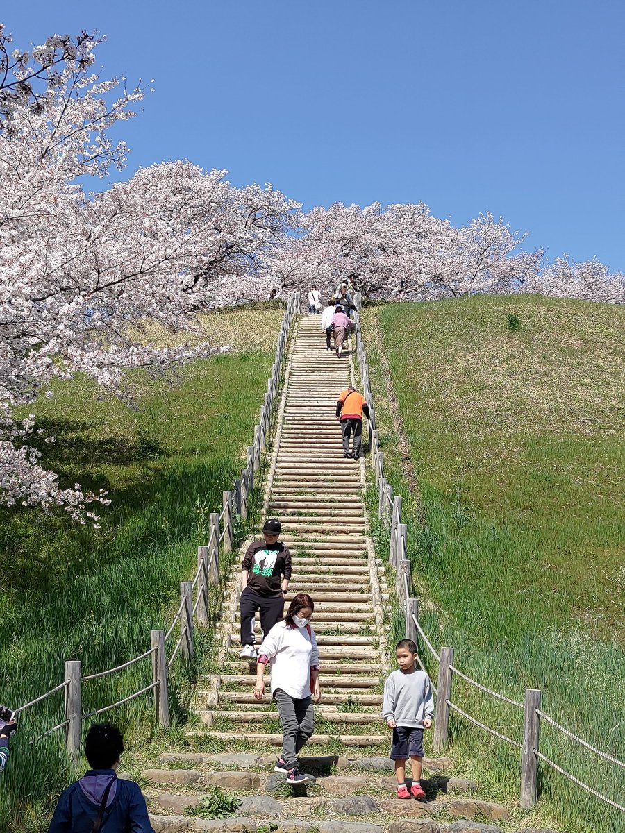 Peera_Foto tweet media