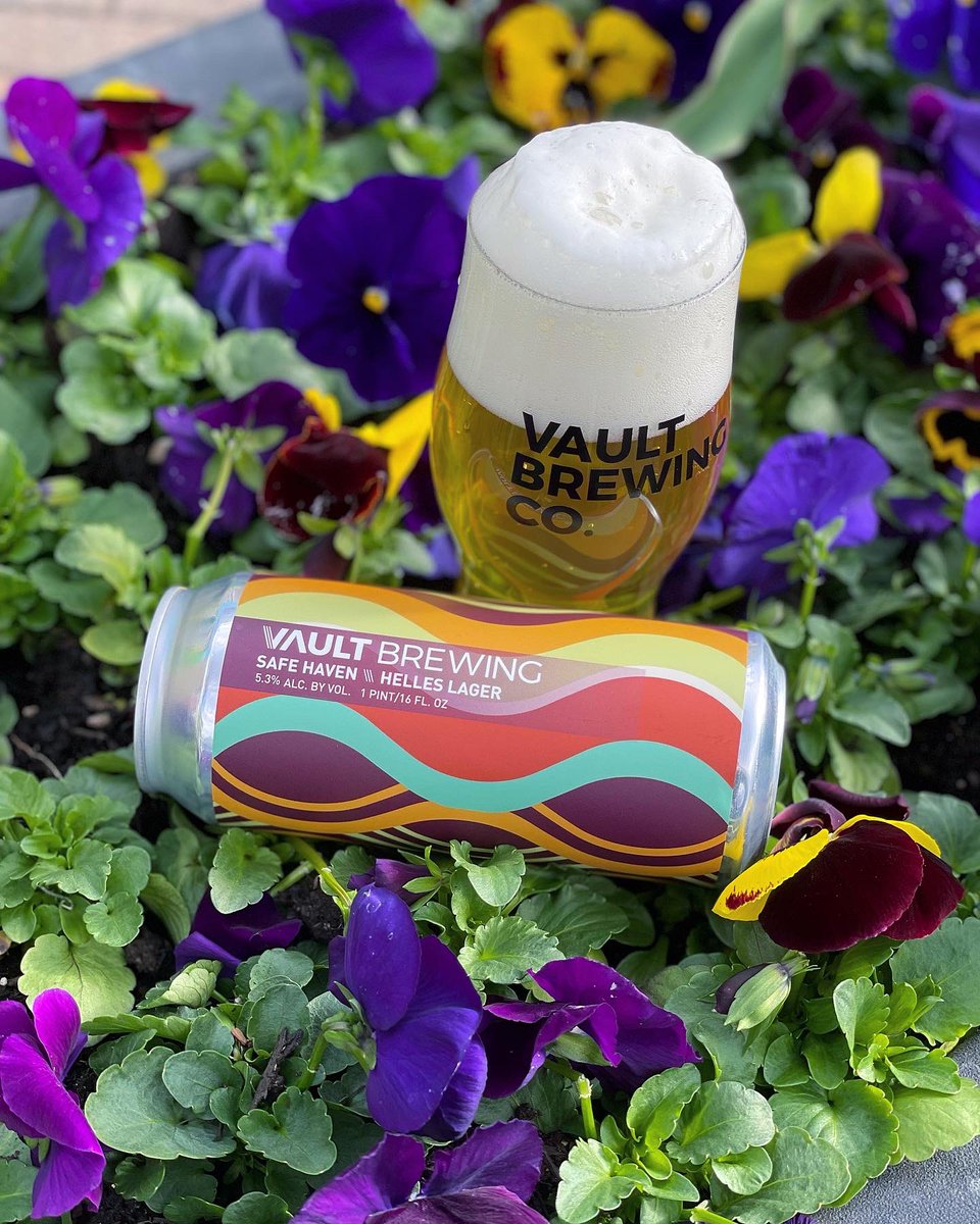 Vault_Brewing's tweet photo. FRESH (SPRING) CAN DROP!!!

SAFE HAVEN (5.2%): Brewed with German malts and gently hopped with HMF (Hallertau Mittelfruh), this lager starts easy with a pillow of soft malt and follows through with a noble kiss of HMF hops. https://t.co/Ja8ZG84Gn3
