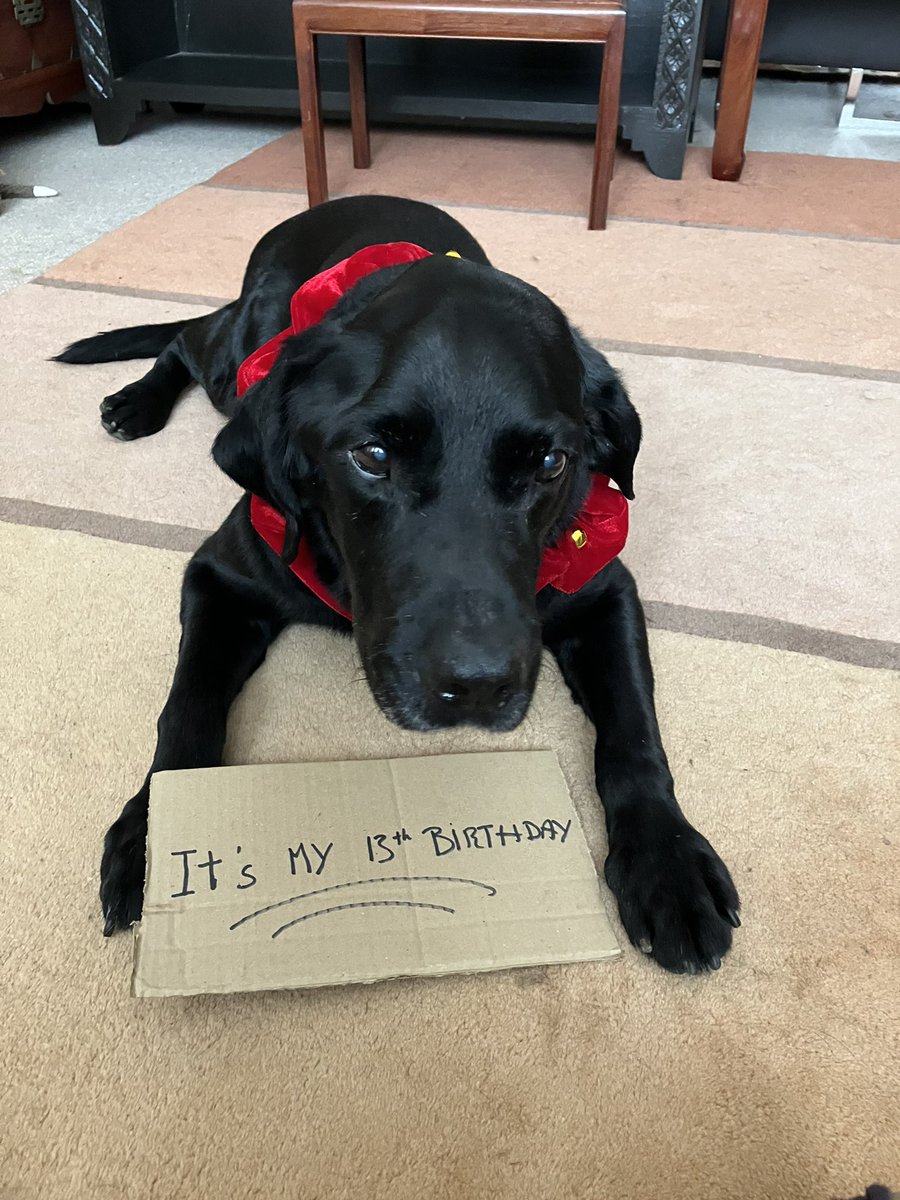 Please send on all those birthday wishes!!!!