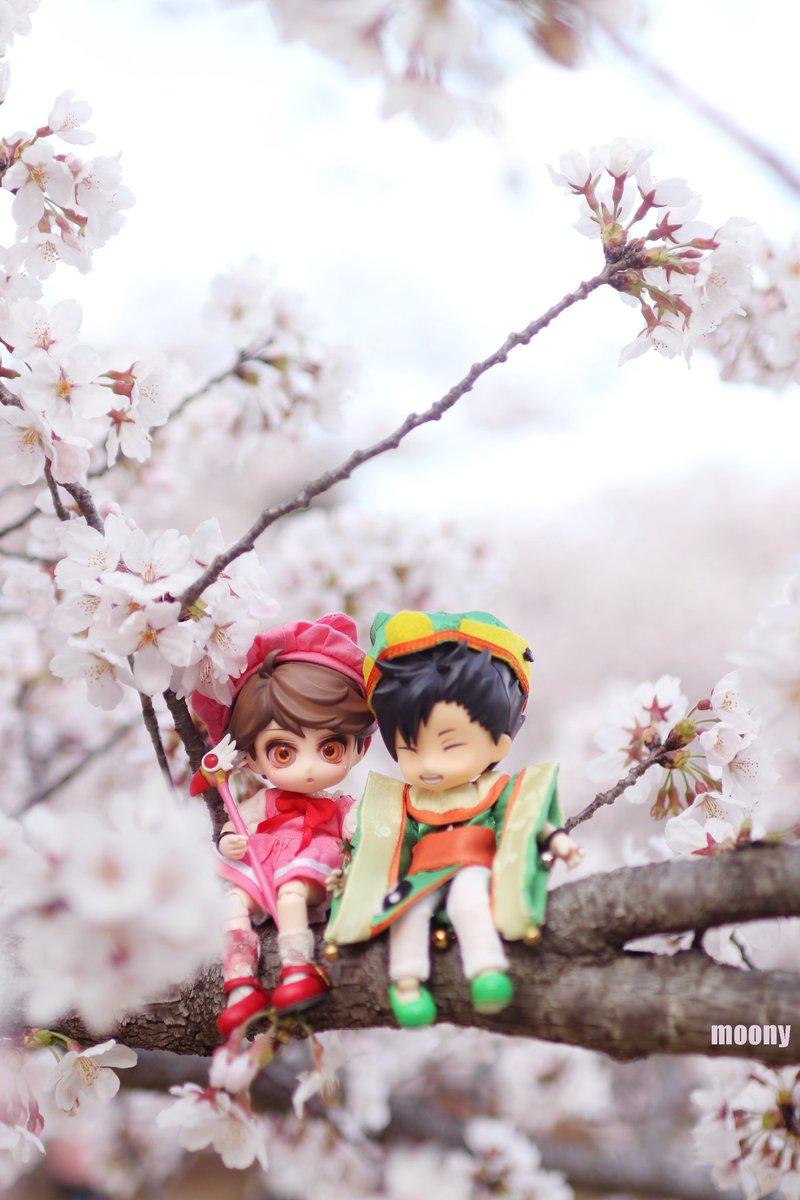 moony0720's tweet photo. 카드캡터 토오루🩷
                         with  샤오랑 쿠로🌸 https://t.co/cNZ8Qk8OHS