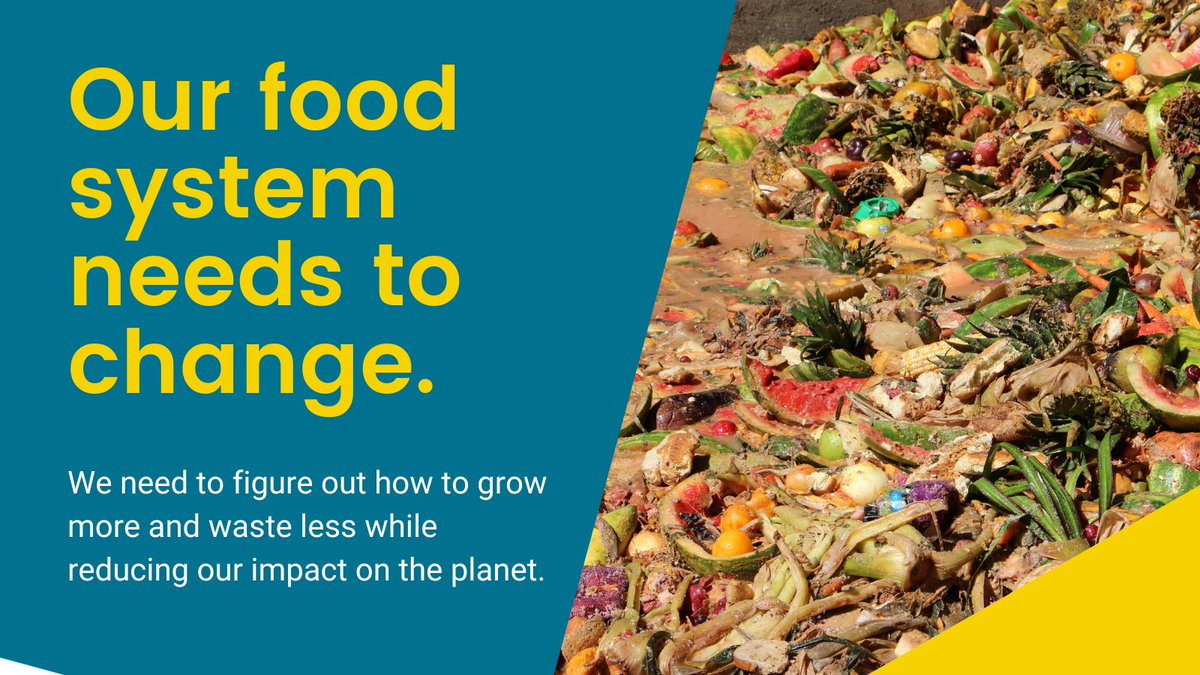 WWF Sustainability Works tweet media