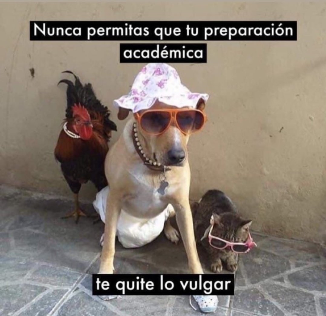 outofcontexter1's tweet image. 