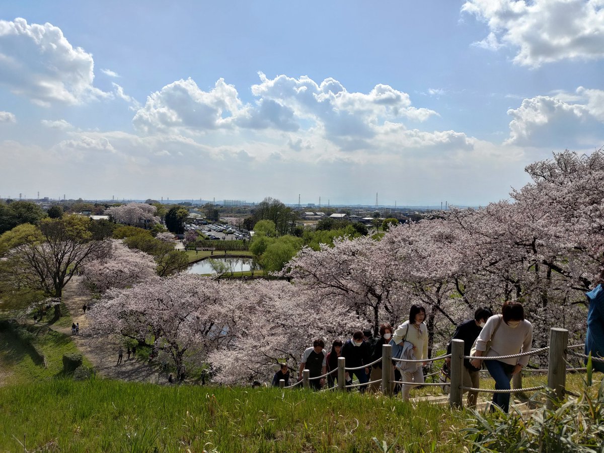 Peera_Foto tweet media