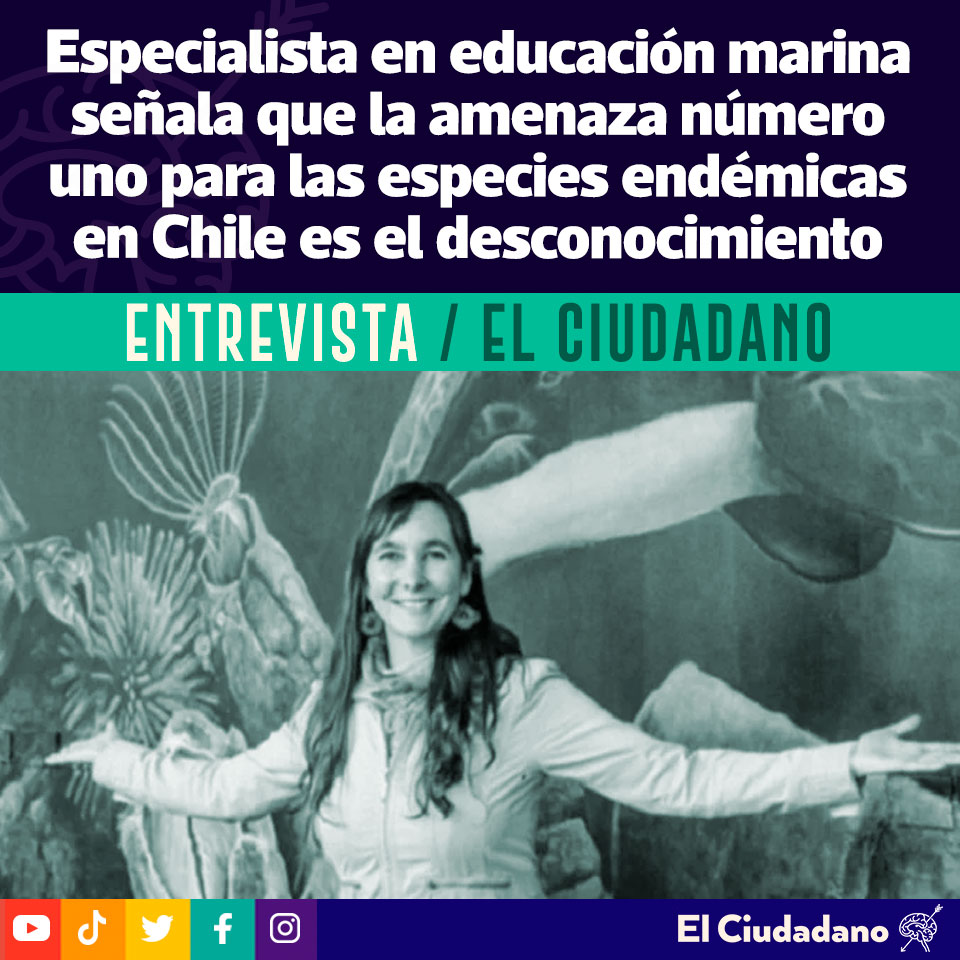 Carla Christie Remy-Maillet, Bióloga Marina con más de 12 años de experiencia en divulgación y gestión cultural de ciencias, y con trabajo en terreno sobre el delfín chileno en 20 años, considera que la educación es un tema clave.

Revisa la nota aquí 👉 ow.ly/CTwa50NuKPM