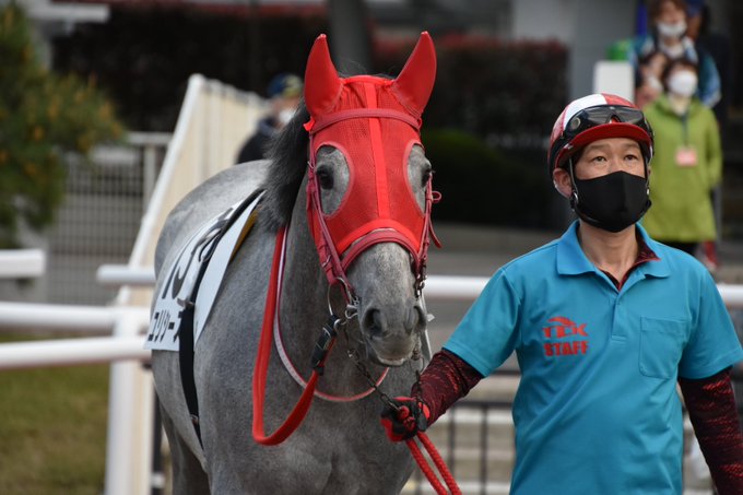 大井6Rユリシーズ＆山崎誠士騎手#大井競馬場#TCK 